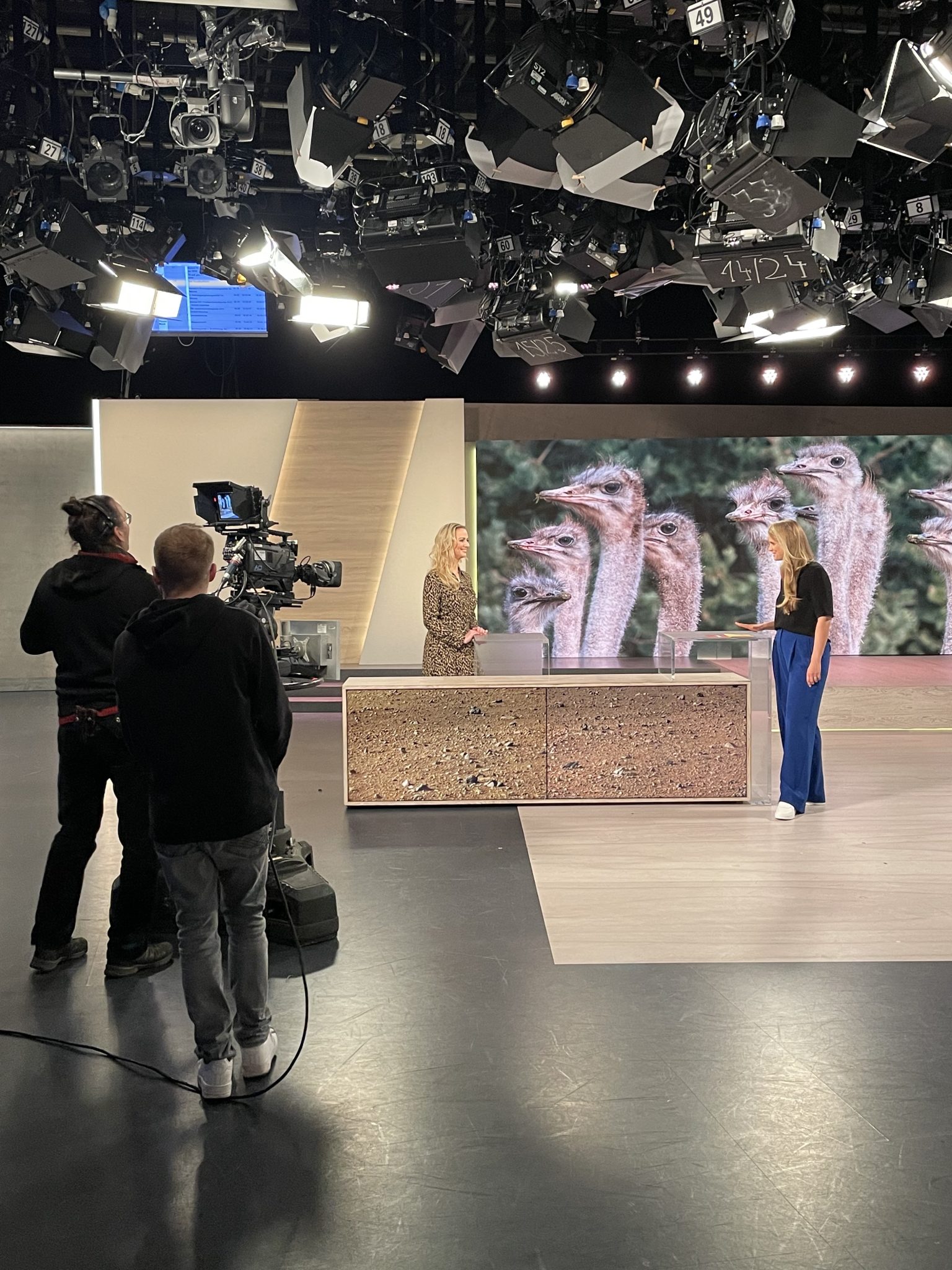 Wie gesund ist Straußenfleisch? – Isabell Heßmann